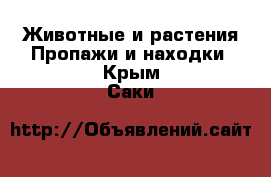 Животные и растения Пропажи и находки. Крым,Саки